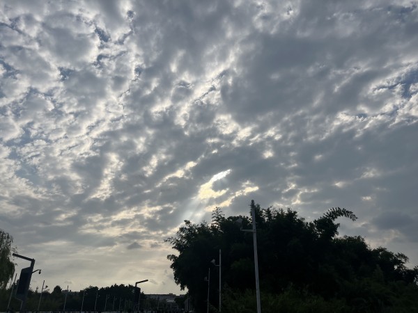 这里有一个标题